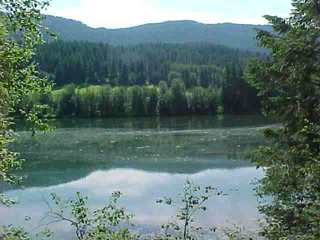 133 Graham Cusick, WA 99119 - Photo 2 of 6 Gallery Image 2