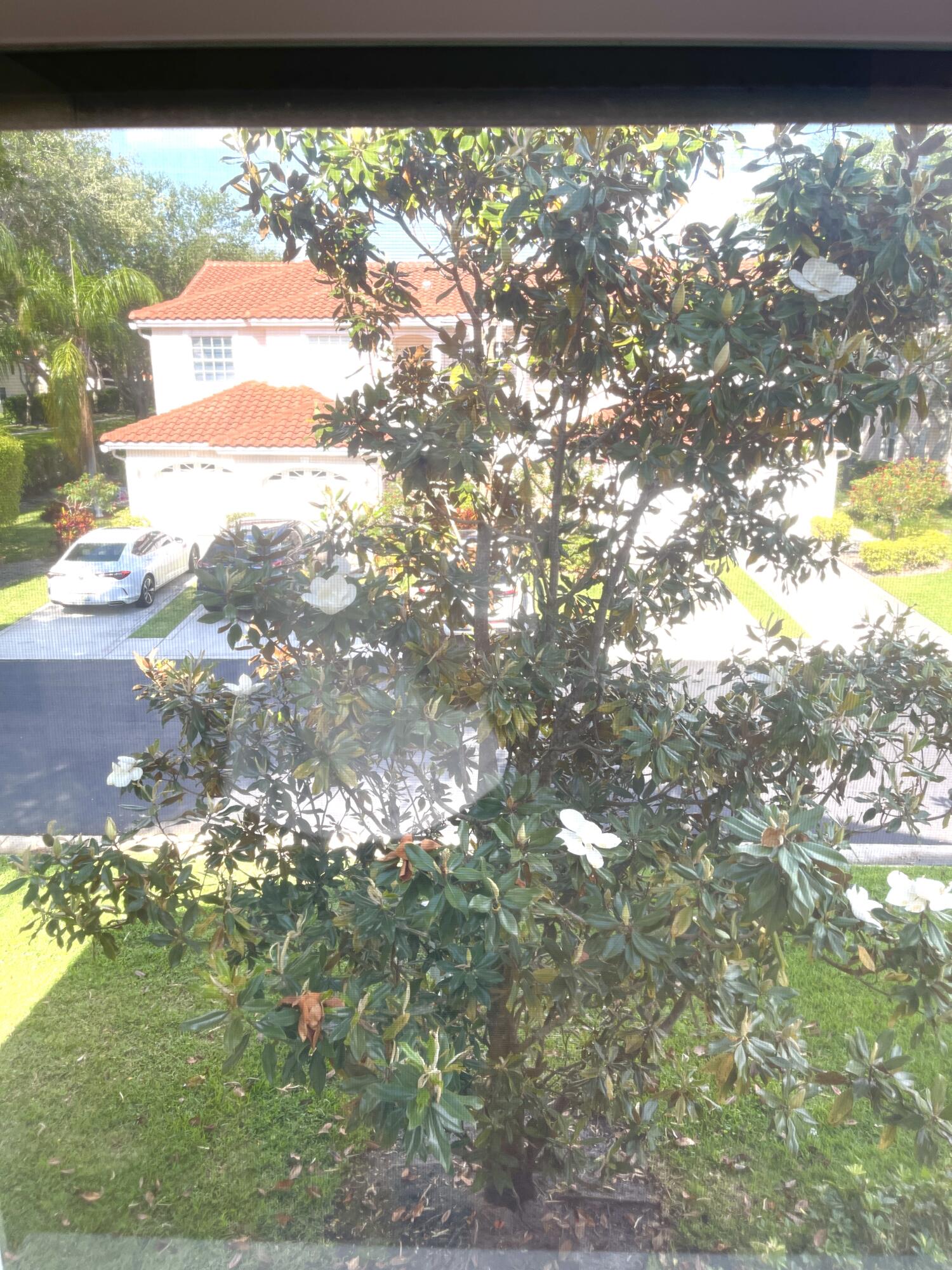 8550 Vía Romana, Unit 2 Boca Raton, FL 33496 - Photo 27 of 28 a view of a tree in a yard