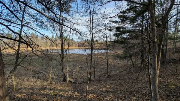$75,000 | Tbd Honkers Hollow, Danbury, WI 54830