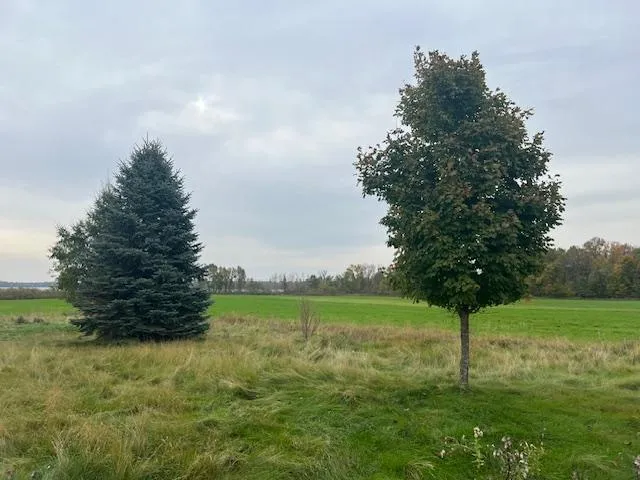 $400,000 | 33829 Long Lake Road, Richville, MN 56576