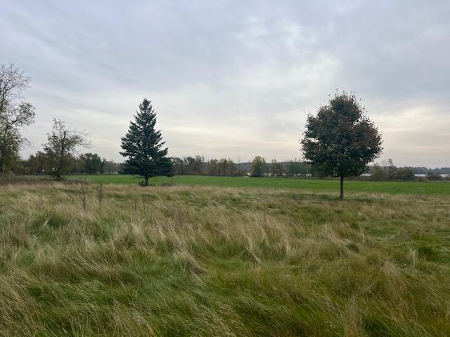 33829 Long Lake Road Richville, MN 56576 - Photo 20 of 35