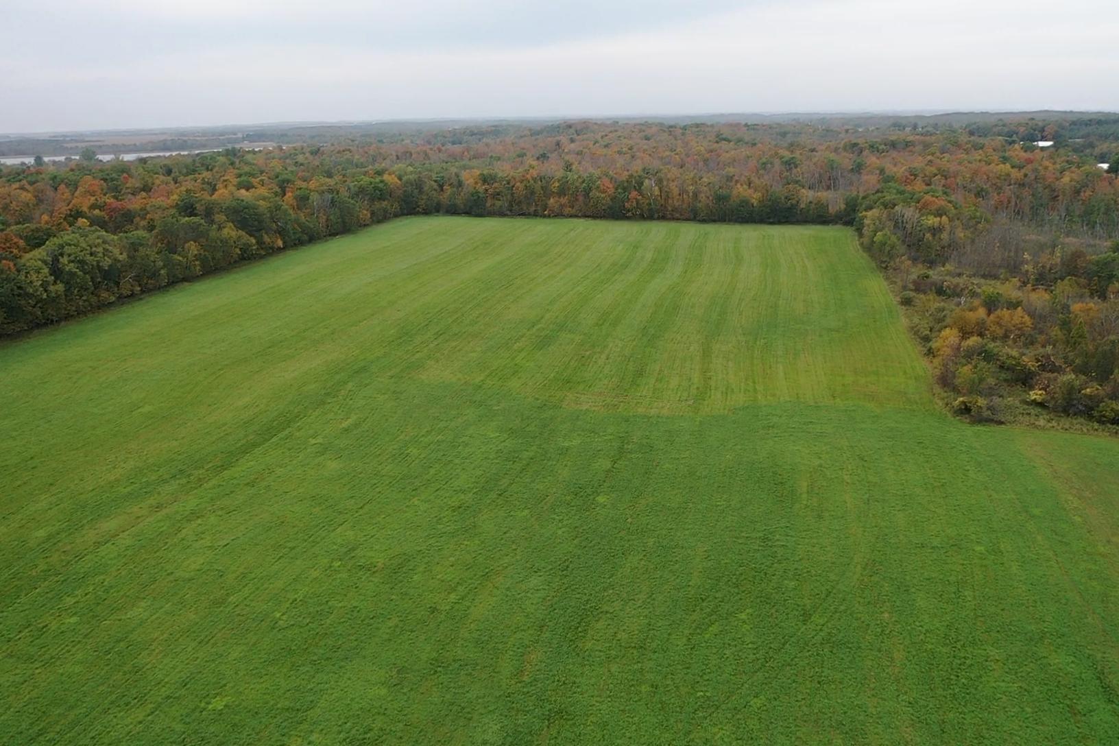 33829 Long Lake Road Richville, MN 56576 - Photo 2 of 35