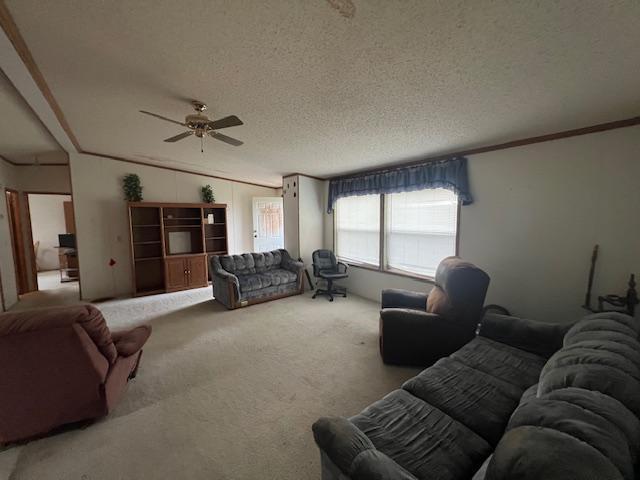 33829 Long Lake Road Richville, MN 56576 - Photo 29 of 35