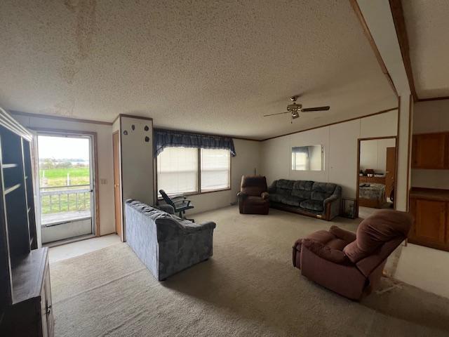 33829 Long Lake Road Richville, MN 56576 - Photo 30 of 35