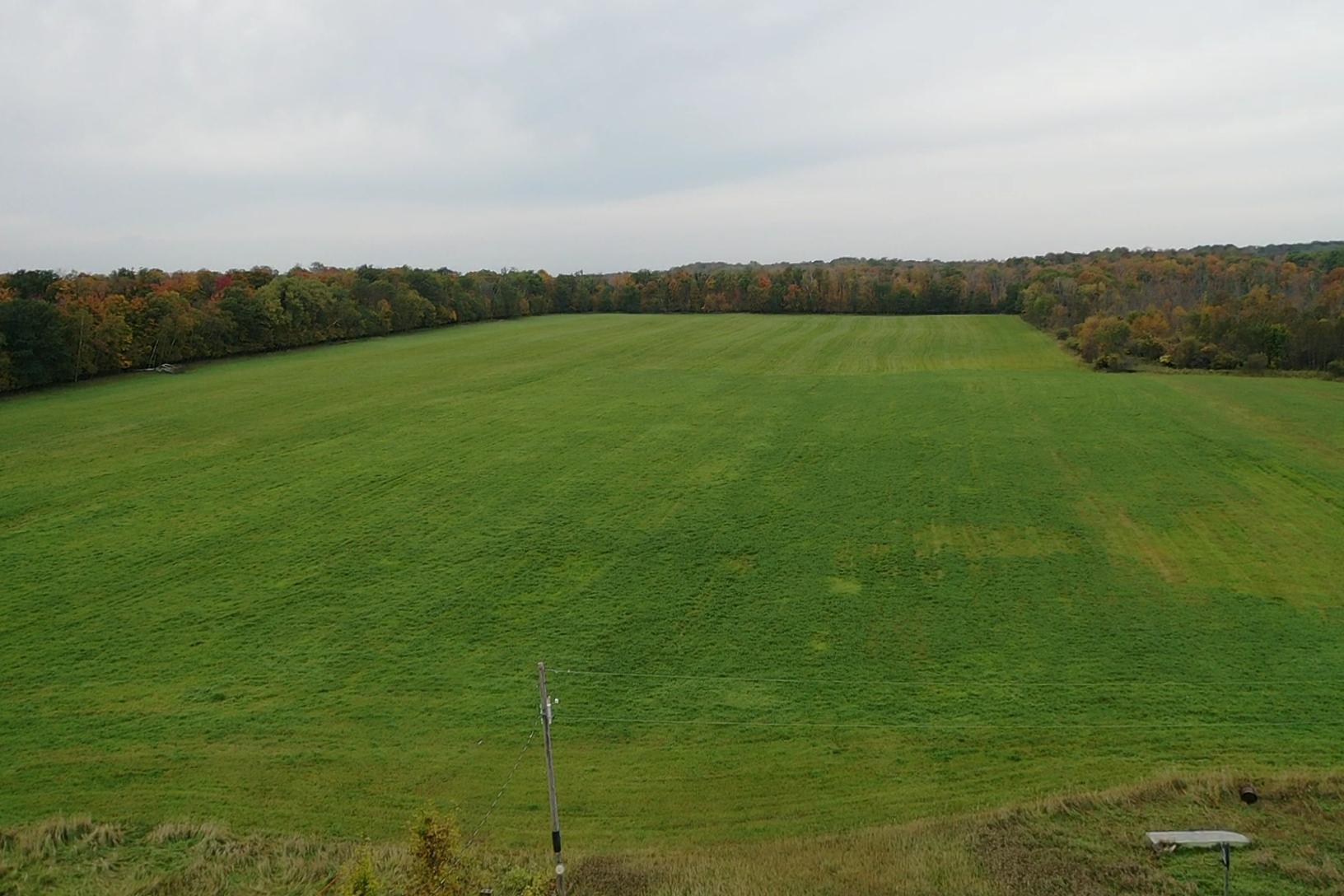 33829 Long Lake Road Richville, MN 56576 - Photo 5 of 35