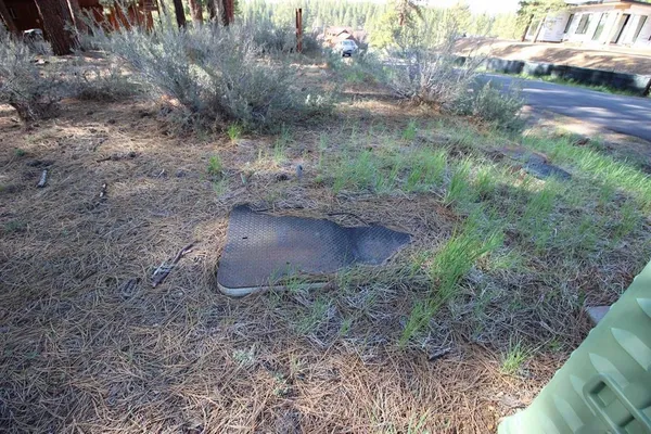 a view of a dry yard with lots of green space