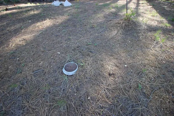 a view of a dry yard with a stove