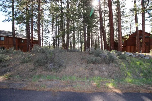 a view of outdoor space and trees