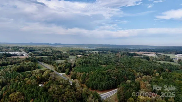 an aerial view of forest
