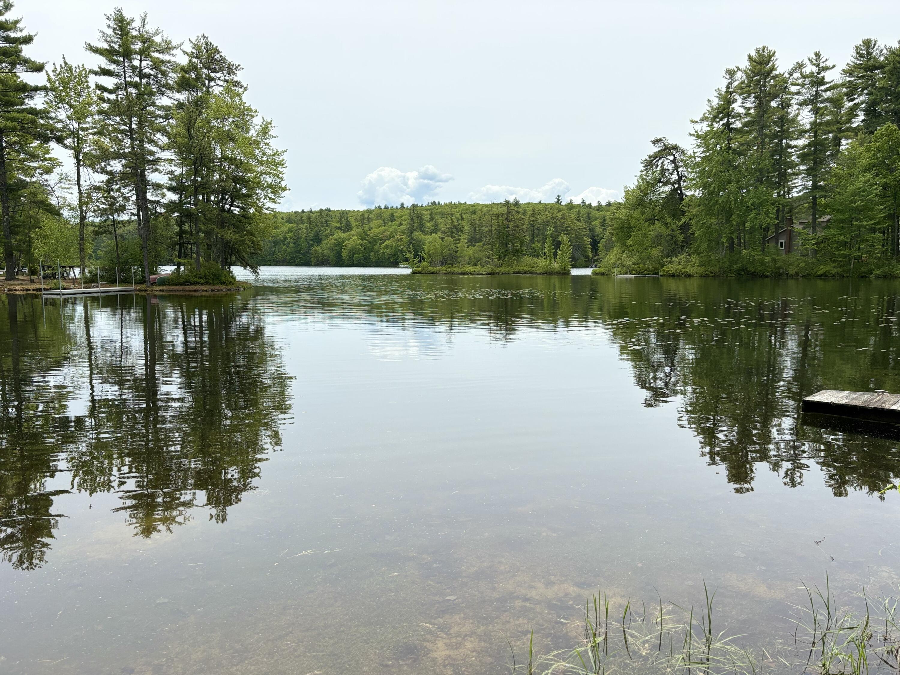 0 Whitehouse Road West Newfield, ME 04095 - Photo 1 of 7 IMG_1132