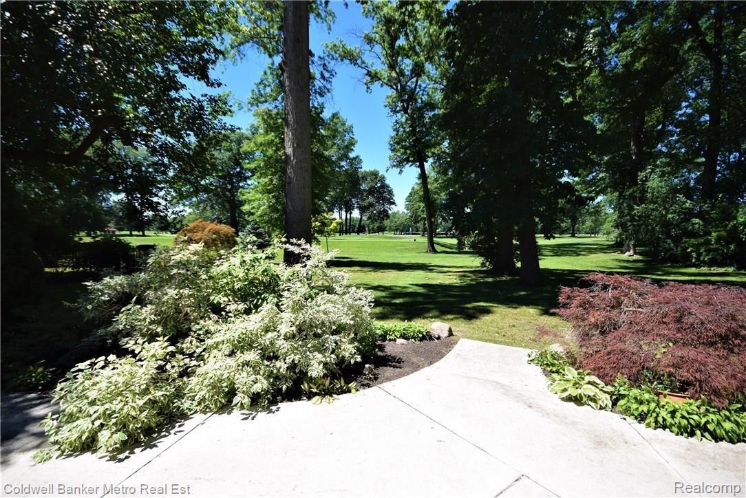 17731 Hamilton Road Highland Park, MI 48203 - Photo 57 of 68 Serene Backyard view