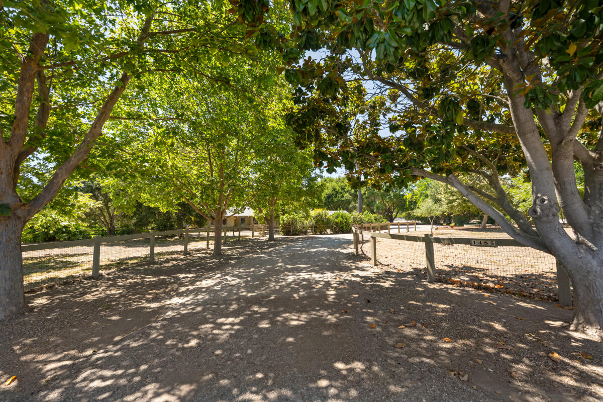 1485 Alamo Pintado Road Solvang, CA 93463 - Photo 24 of 46 _ROY7266