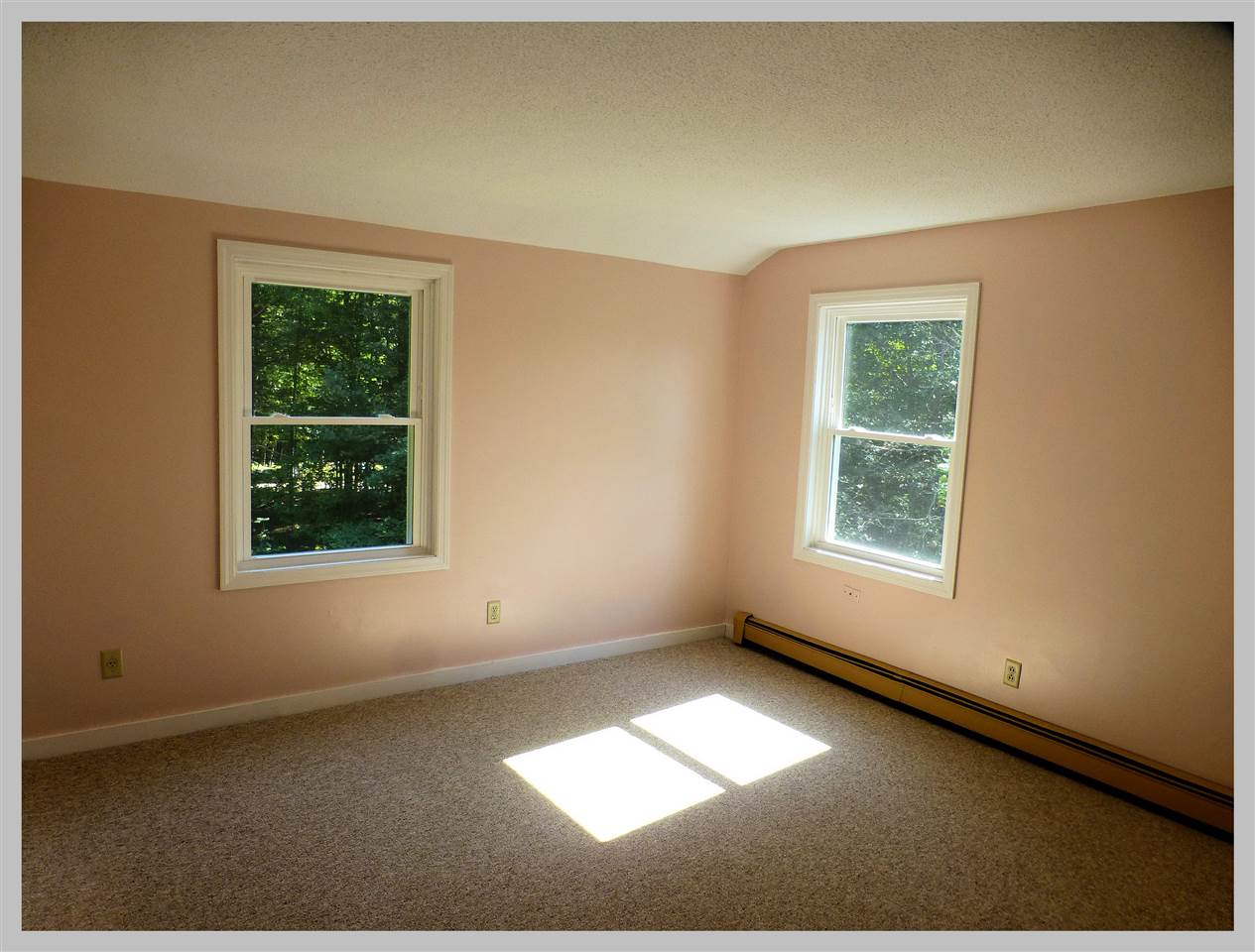 251 Lower Beech Hill Road Campton, NH 03223 - Photo 24 of 40