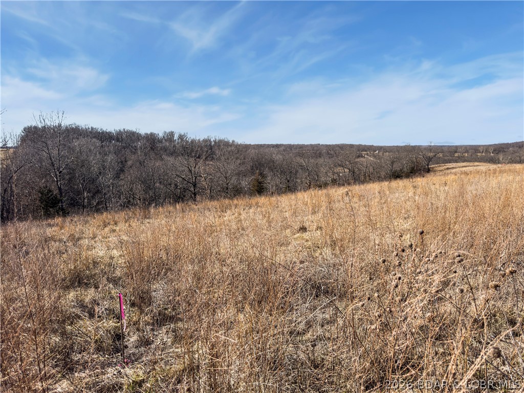 Tract B Camden Line Lane Lebanon, MO 65536 - Photo 5 of 12