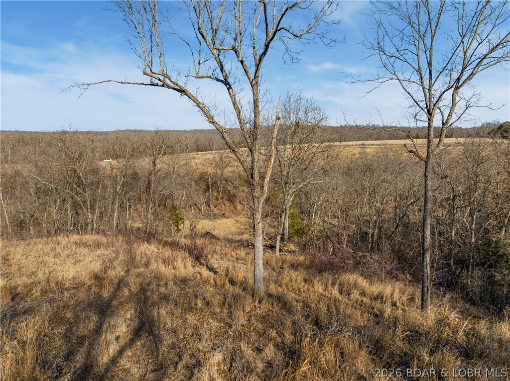 Tract B Camden Line Lane Lebanon, MO 65536 - Photo 7 of 12