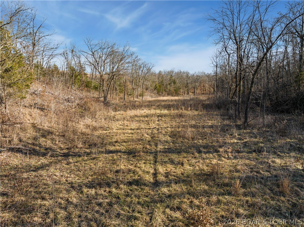 Tract B Camden Line Lane Lebanon, MO 65536 - Photo 8 of 12