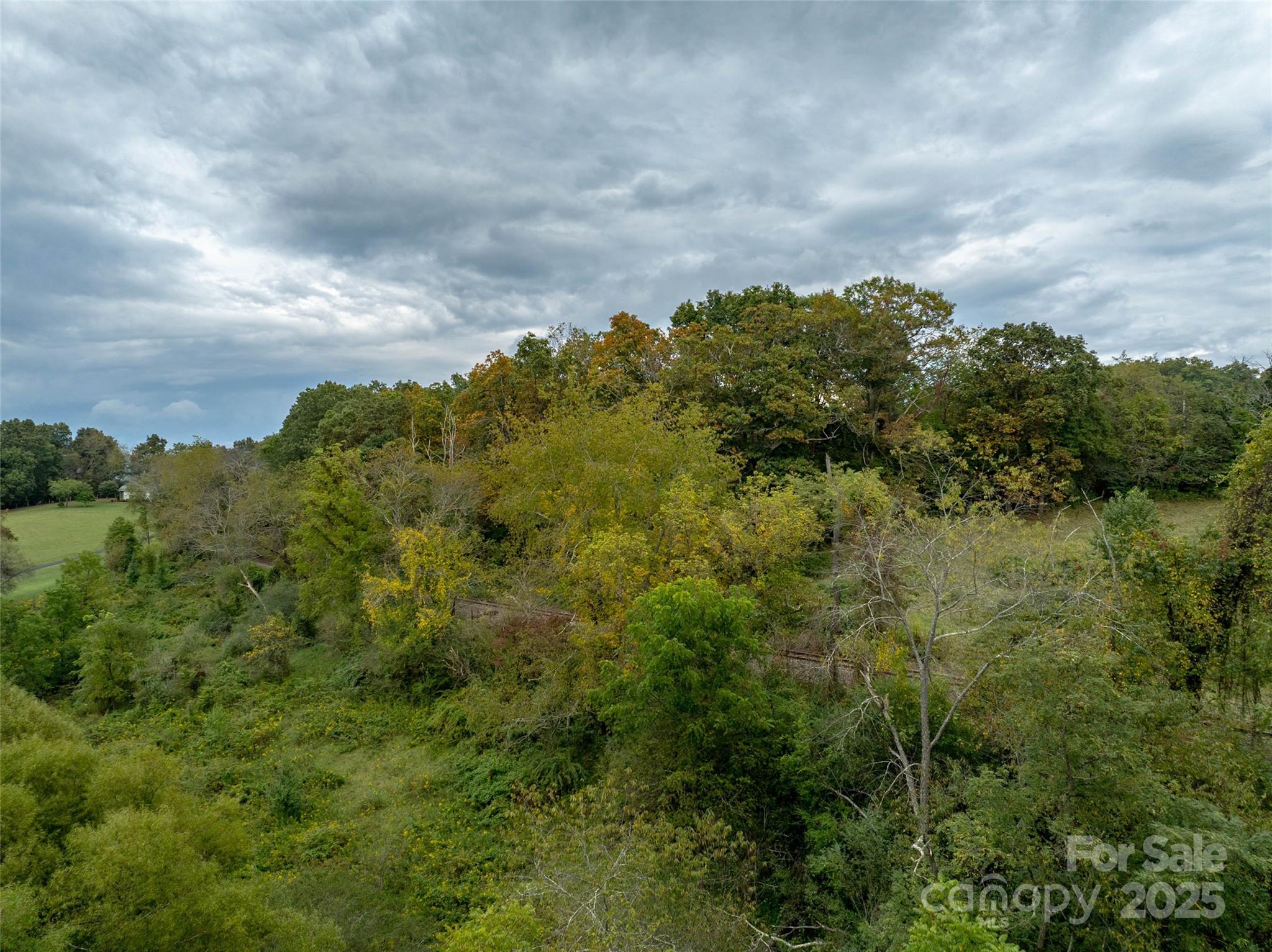 99999 Old Clyde Road Clyde, NC 28721 - Photo 11 of 15 a view of a bunch of trees