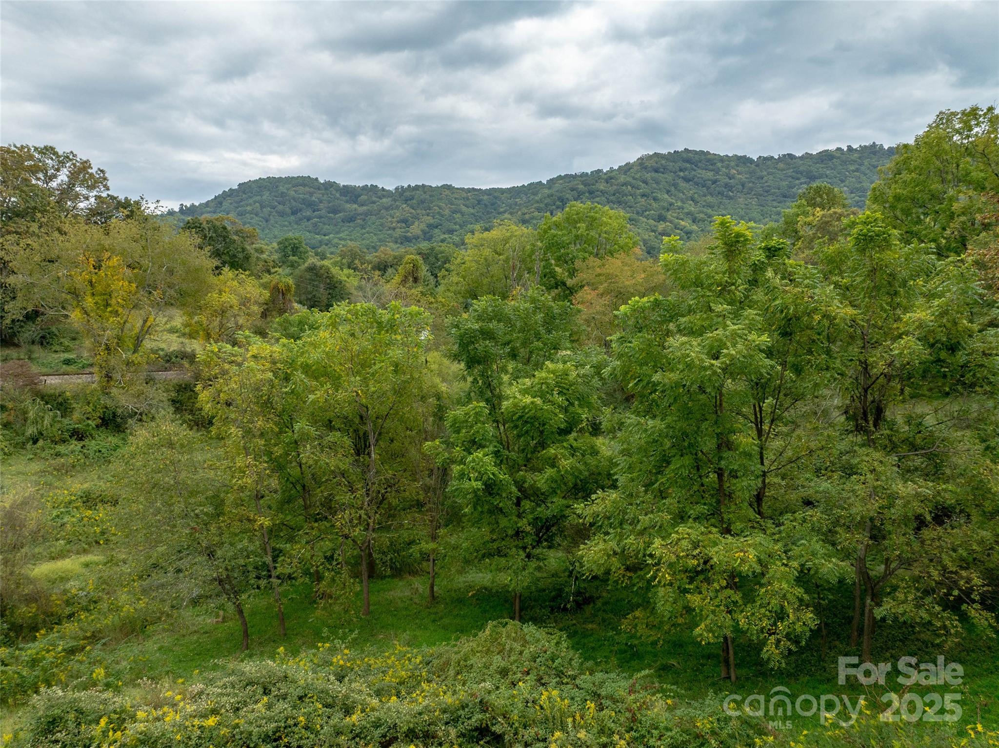 99999 Old Clyde Road Clyde, NC 28721 - Photo 4 of 15 a view of a lush green forest with mountains in the background