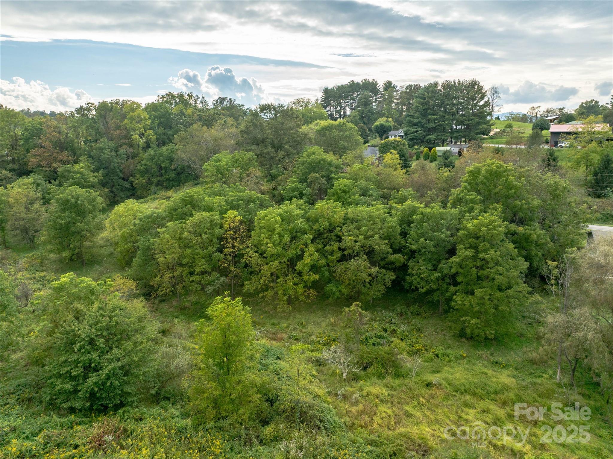 99999 Old Clyde Road Clyde, NC 28721 - Photo 5 of 15 a view of a green field with lots of trees
