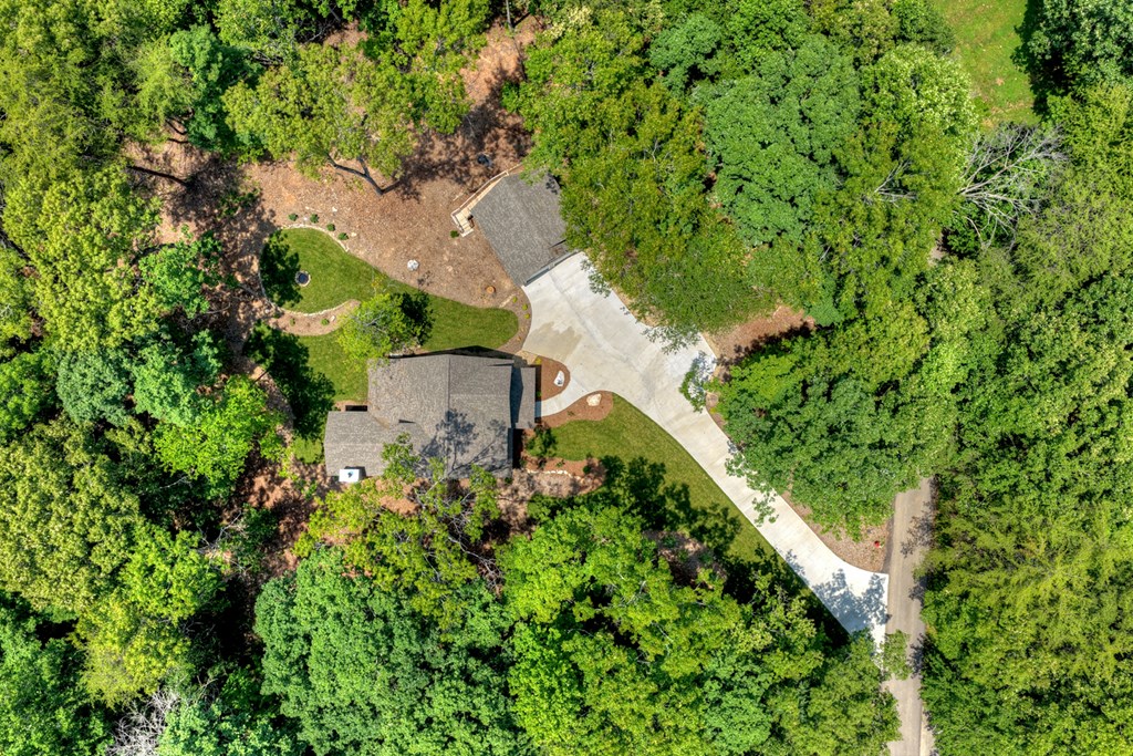 646 High Country Crossing Morganton, GA 30560 - Photo 47 of 53