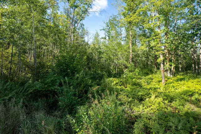 $110,000 | 72-xx Brown Road, Kettle River, MN 55757