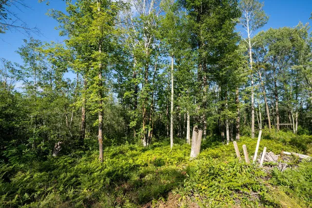 $110,000 | 72-xx Brown Road, Kettle River, MN 55757