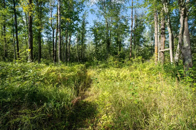 $110,000 | 72-xx Brown Road, Kettle River, MN 55757