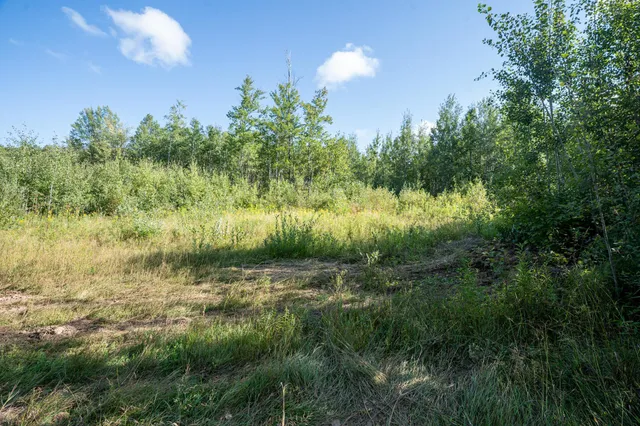 $110,000 | 72-xx Brown Road, Kettle River, MN 55757