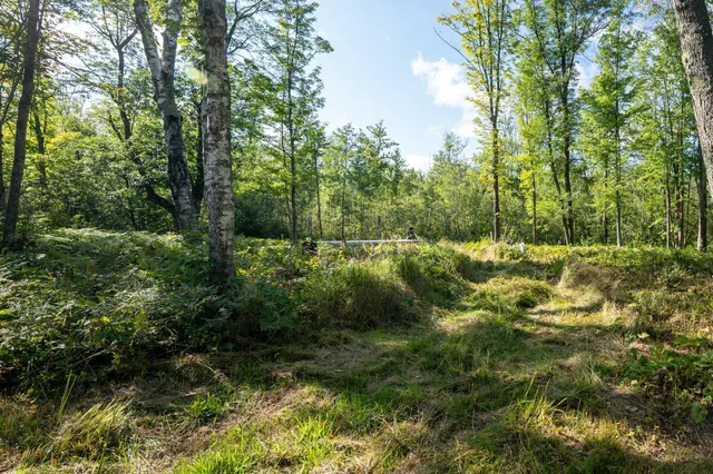 $110,000 | 72-xx Brown Road, Kettle River, MN 55757