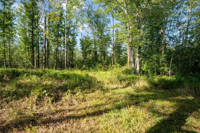 $110,000 | 72-xx Brown Road, Kettle River, MN 55757