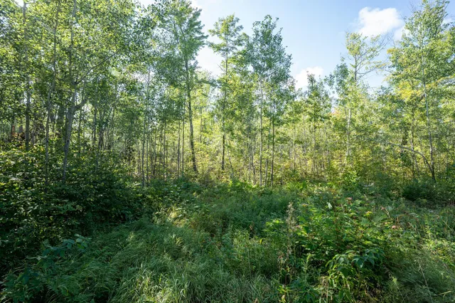 $110,000 | 72-xx Brown Road, Kettle River, MN 55757