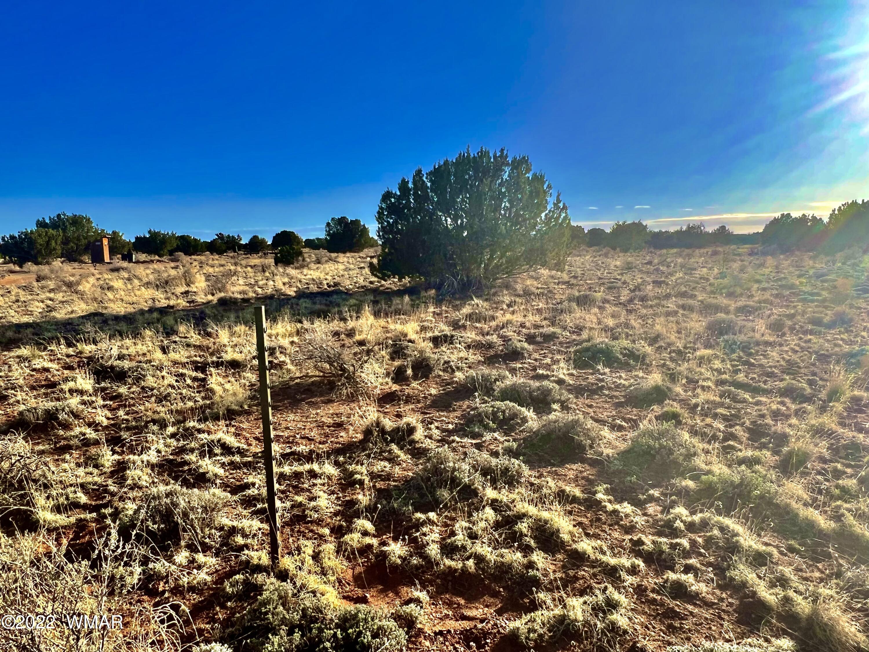 2366 Pinyon Road Heber, AZ 85928 - Photo 1 of 6 Gallery Image 1