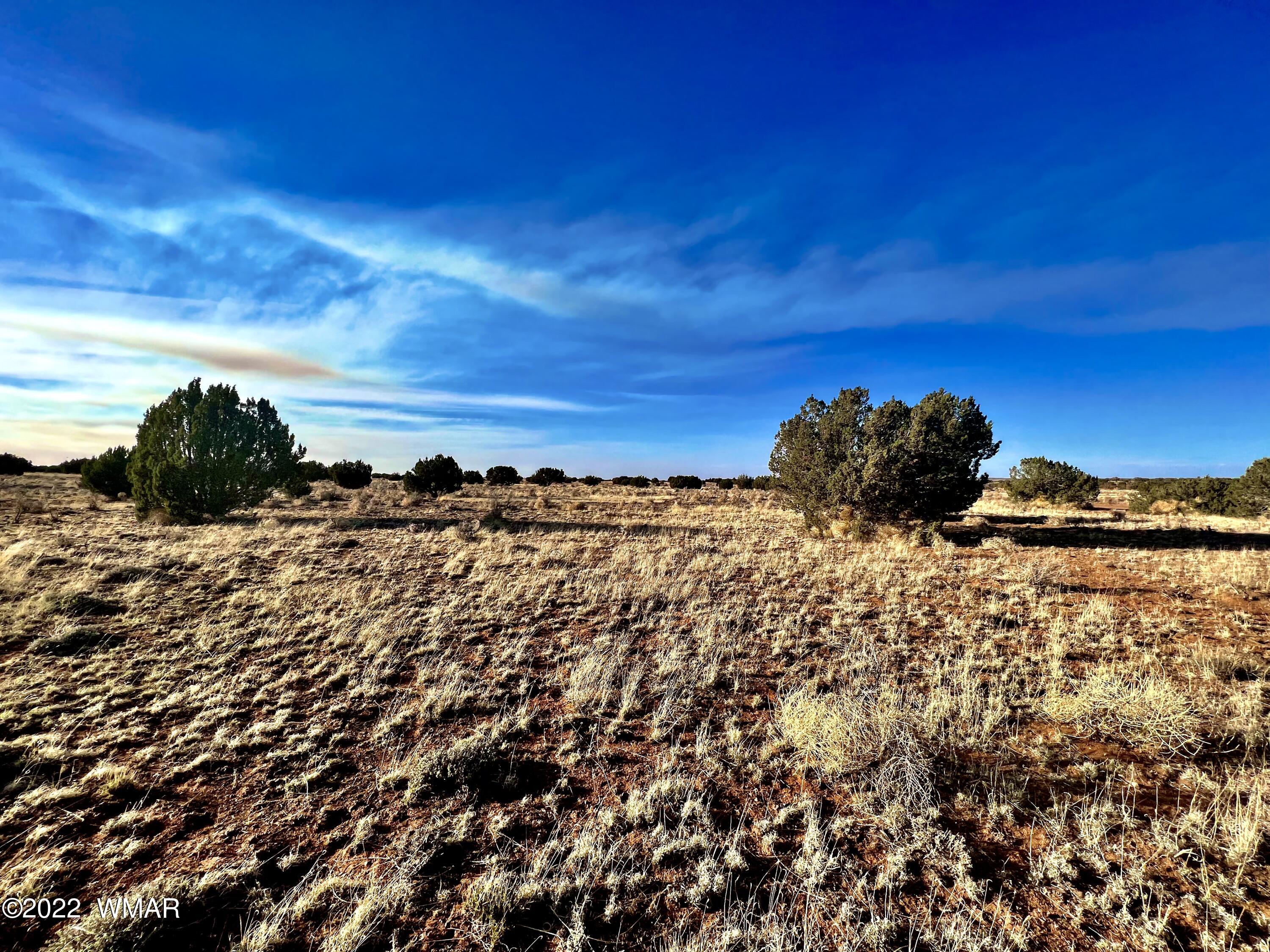 2366 Pinyon Road Heber, AZ 85928 - Photo 2 of 6 Gallery Image 2