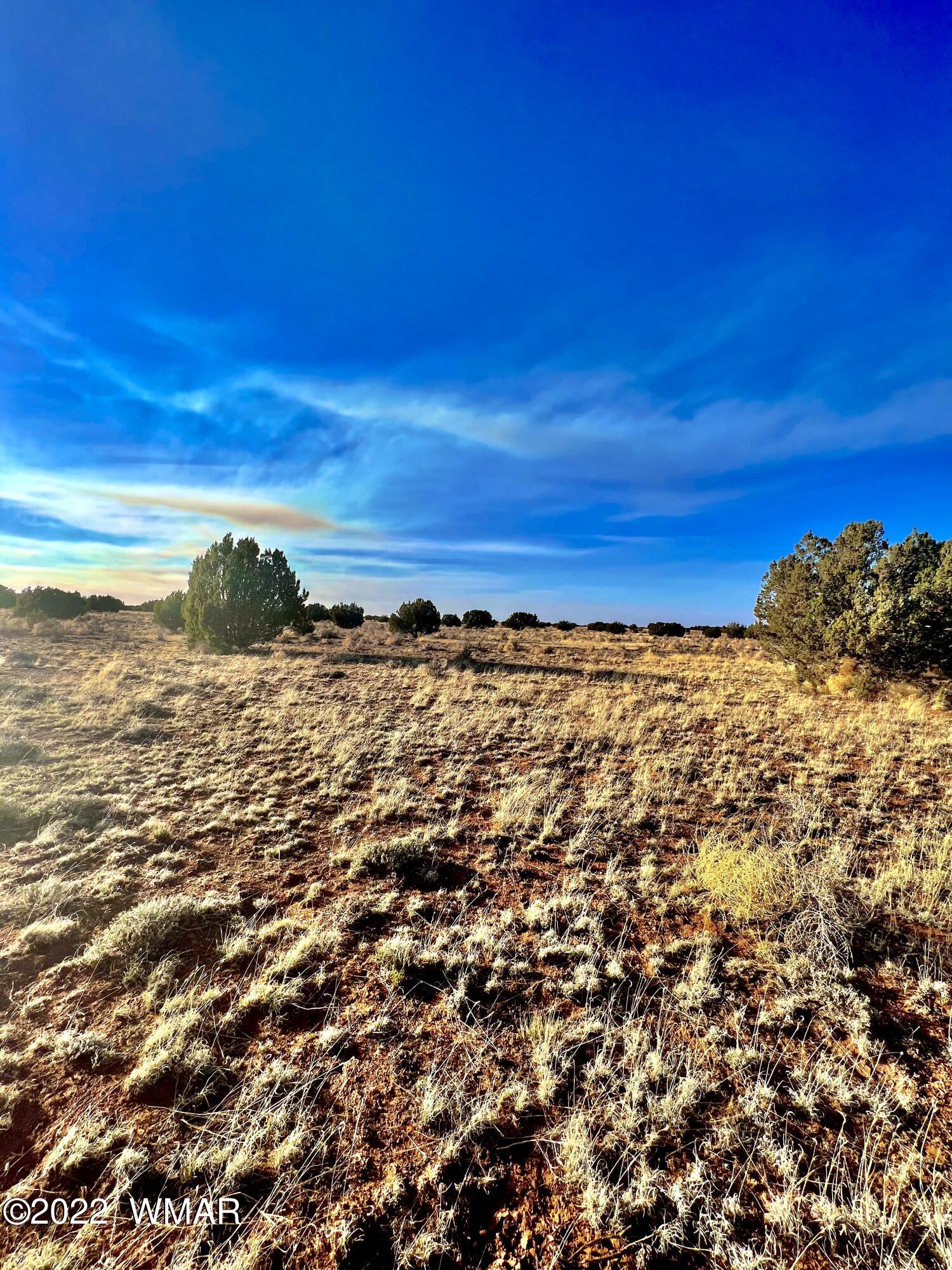 2366 Pinyon Road Heber, AZ 85928 - Photo 3 of 6 Gallery Image 3