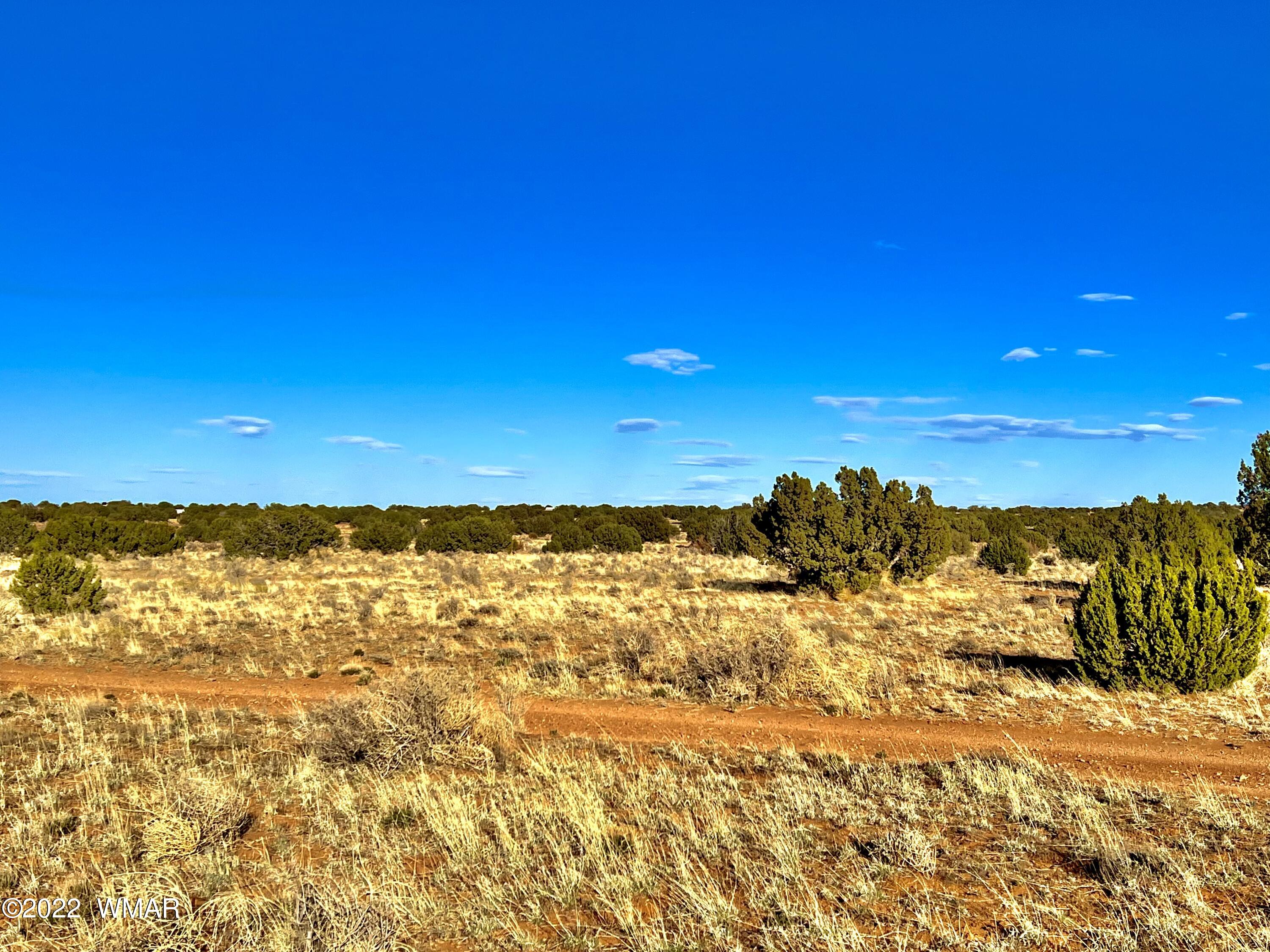 2366 Pinyon Road Heber, AZ 85928 - Photo 4 of 6 Gallery Image 4