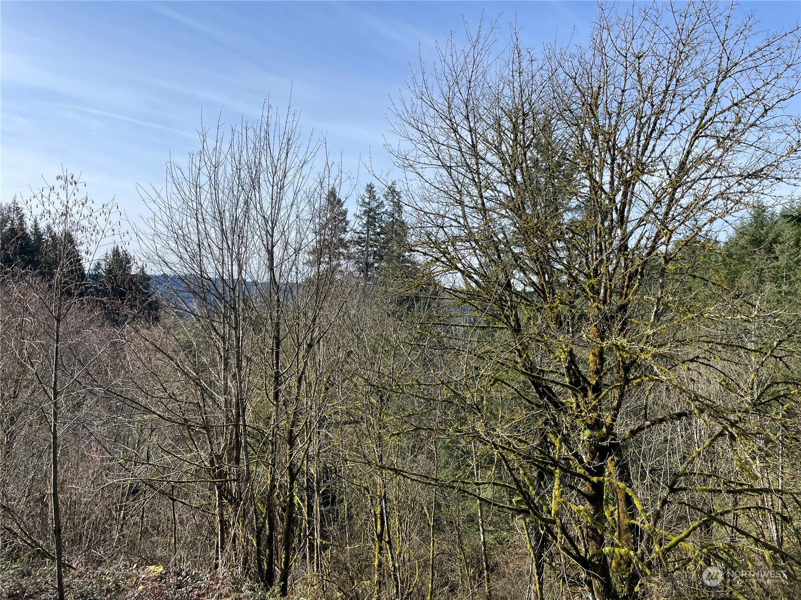 254 Tangen Road Woodland, WA 98674 - Photo 17 of 26 Gallery Image 17