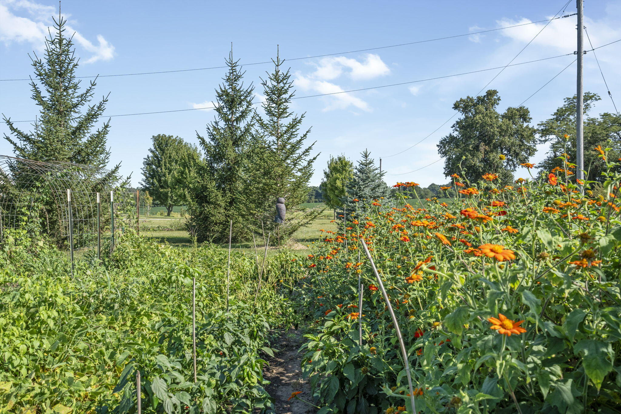 3770 Ee & G Road Sturgeon, MO 65284 - Photo 68 of 69 Gallery Image 68