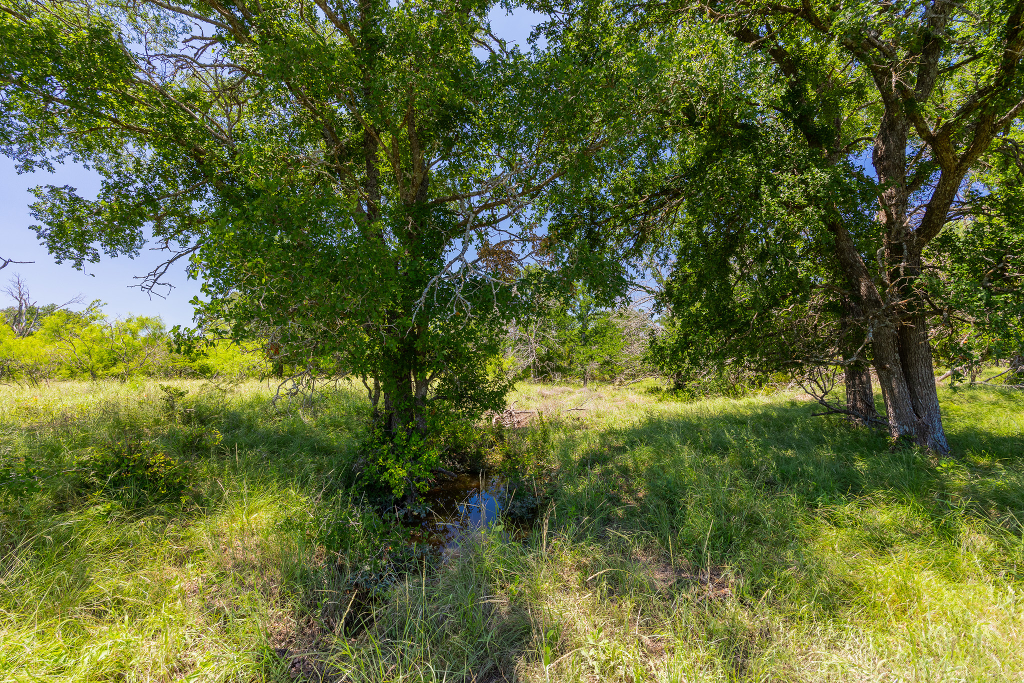 180 72 Ac Road Purmela, TX 76566 - Photo 5 of 33