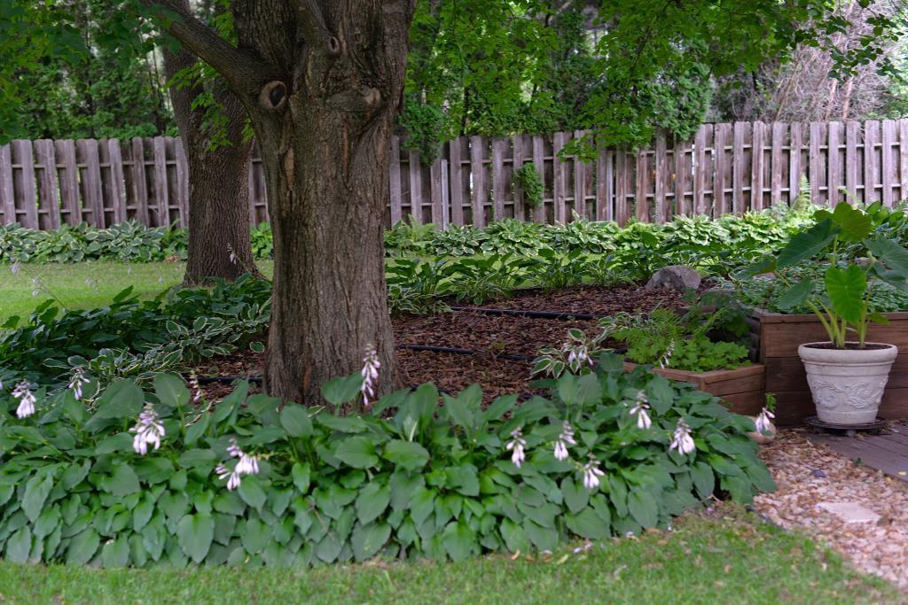 4663 Beacon Hill Road Eagan, MN 55122 - Photo 56 of 59 Gallery Image 56