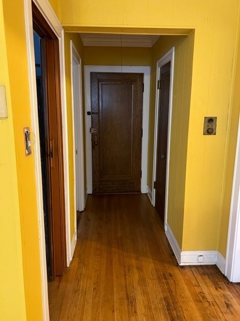 2838 West Addison Street, Unit 2S Chicago, IL 60618 - Photo 2 of 15 a view of a hallway with wooden floor