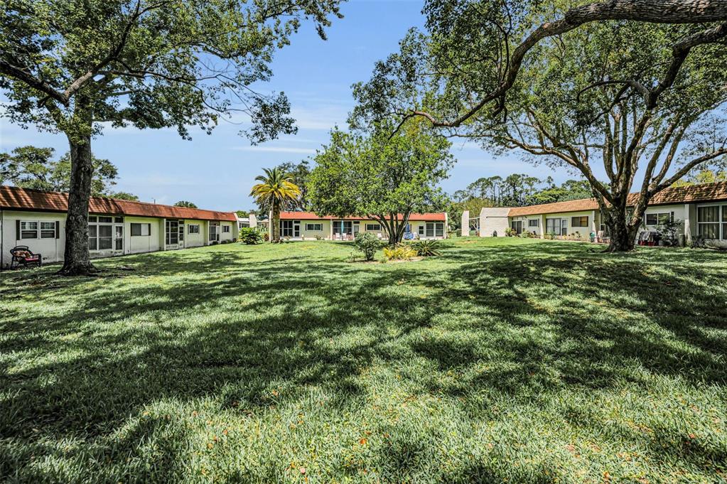 3116 Highlands Boulevard, Unit 3116 Palm Harbor, FL 34684 - Photo 39 of 56 a front view of a house with a yard