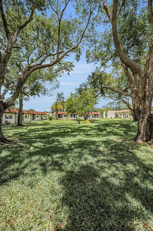 3116 Highlands Boulevard, Unit 3116 Palm Harbor, FL 34684 - Photo 40 of 56 a backyard of a house with lots of green space