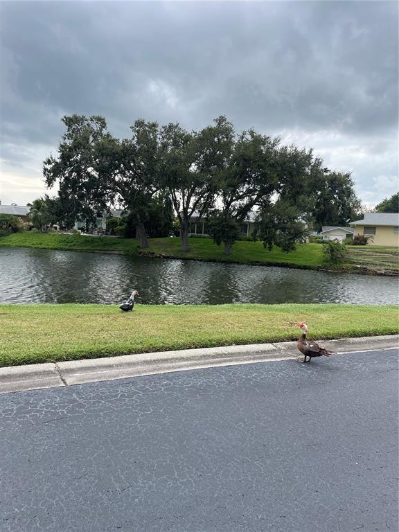 3116 Highlands Boulevard, Unit 3116 Palm Harbor, FL 34684 - Photo 45 of 56 a view of a lake with houses in the back