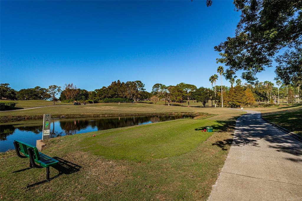 3116 Highlands Boulevard, Unit 3116 Palm Harbor, FL 34684 - Photo 46 of 56 a view of a lake with a yard