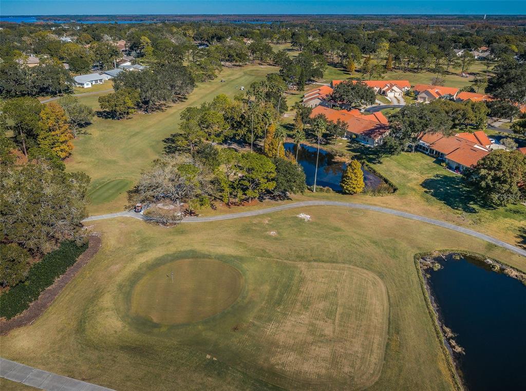 3116 Highlands Boulevard, Unit 3116 Palm Harbor, FL 34684 - Photo 48 of 56