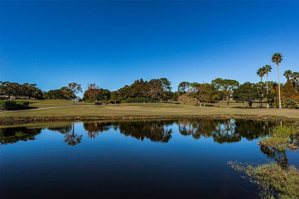 3116 Highlands Boulevard, Unit 3116 Palm Harbor, FL 34684 - Photo 49 of 56 a view of lake with green space