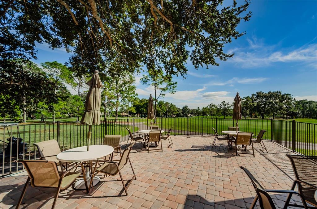 3116 Highlands Boulevard, Unit 3116 Palm Harbor, FL 34684 - Photo 51 of 56 a view of a patio with table chairs and a backyard