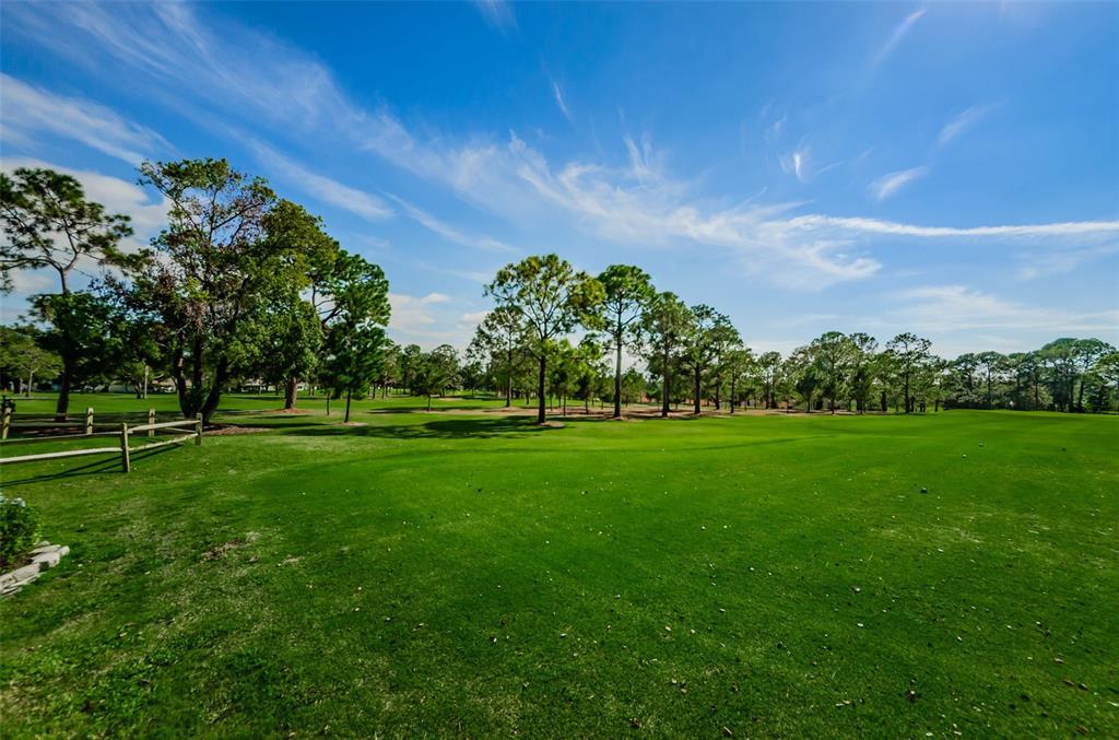 3116 Highlands Boulevard, Unit 3116 Palm Harbor, FL 34684 - Photo 53 of 56 a view of a golf course with a garden