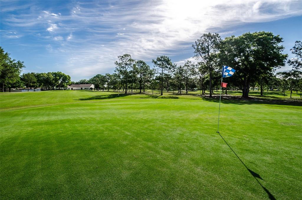3116 Highlands Boulevard, Unit 3116 Palm Harbor, FL 34684 - Photo 54 of 56 a view of a golf course with a lake