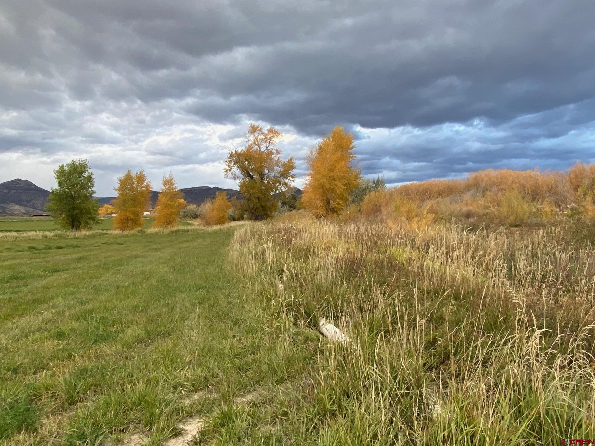 233 County Road 233 Rifle, CO 81650 - Photo 21 of 30 a view of lake with green space